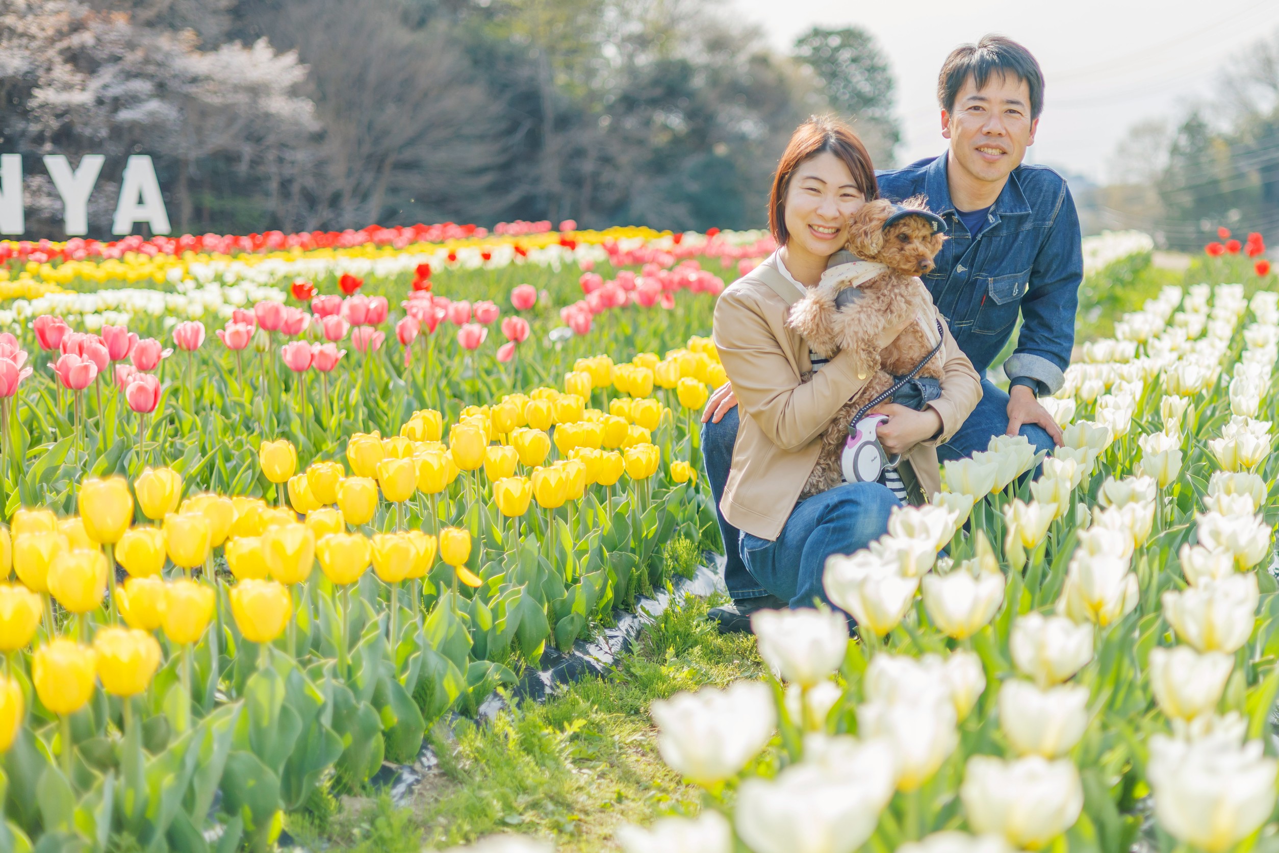 エルとの日々の写真